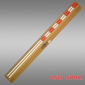 Selex 100 Voleybol Anteni