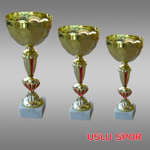 Kupa &Ccedil;eşitleri Altın Rengi