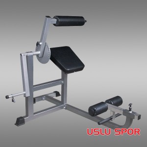 Skylife AB-Back SG-6005 Profesyonel &Ccedil;alışma İstasyonu