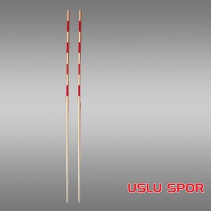 Selex Voleybol Anteni Fiber 