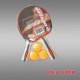 Dunlop Masa Tenis Set (2 Raket+3 Top) 86001